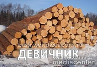 Девичник. ) Мужские цитаты о девушках. Брёвна.