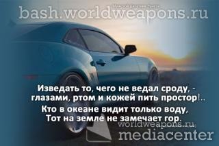 Изведать то, чего не ведал сроду, -  глазами, ртом и кожей пить простор!..  Кто в океане видит только воду,  Тот на земле не замечает гор.