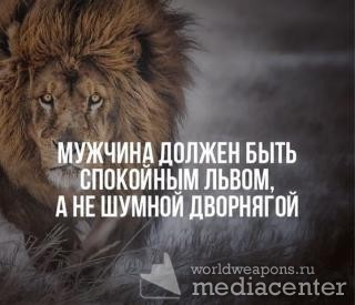 Мужчина должен быть спокойным львом, а не шумной дворнягой.