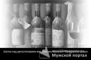 Шутка над дегустаторами вин или эксперимент Фредерика Броше.